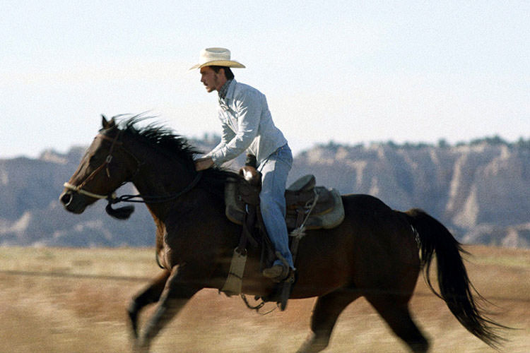 نقد فیلم The Rider - سوارکار - زومجی