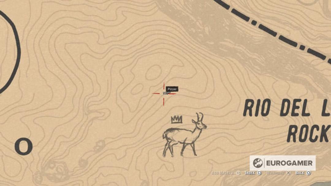 Red Dead Redemption 2 Map