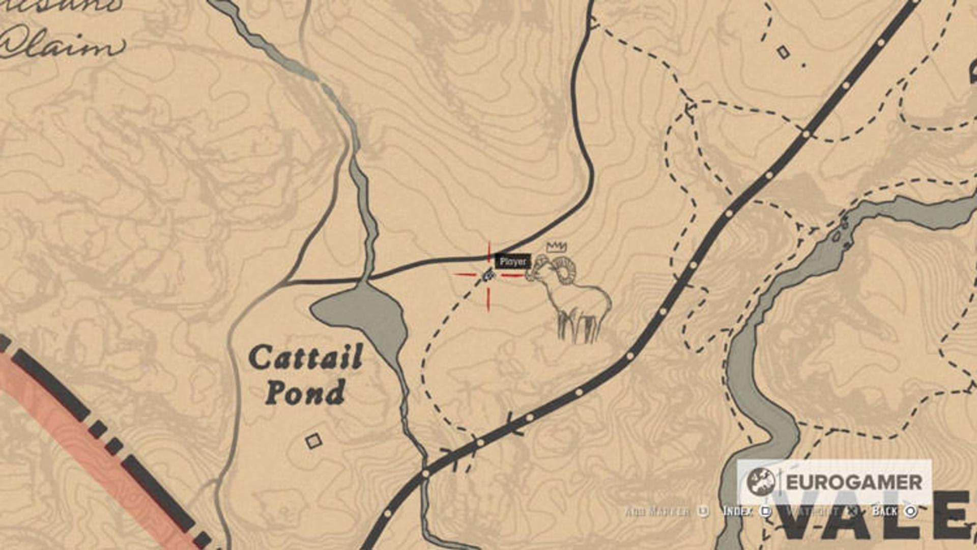 Red Dead Redemption 2 Map