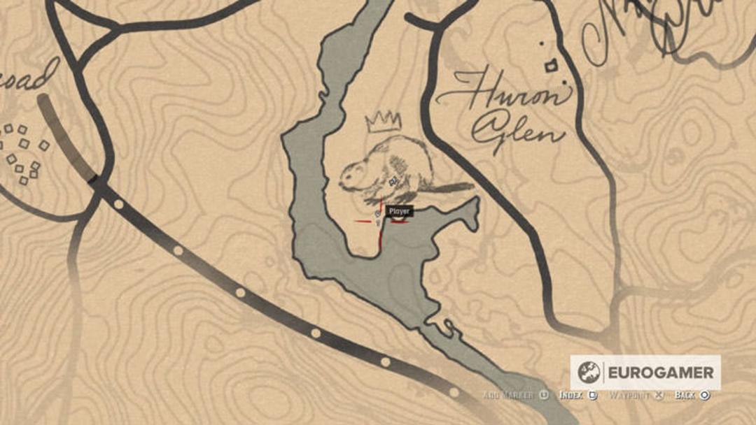 Red Dead Redemption 2 Map