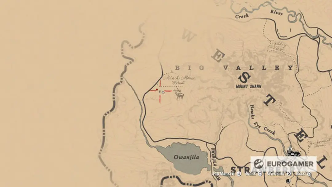 Red Dead Redemption 2 Map