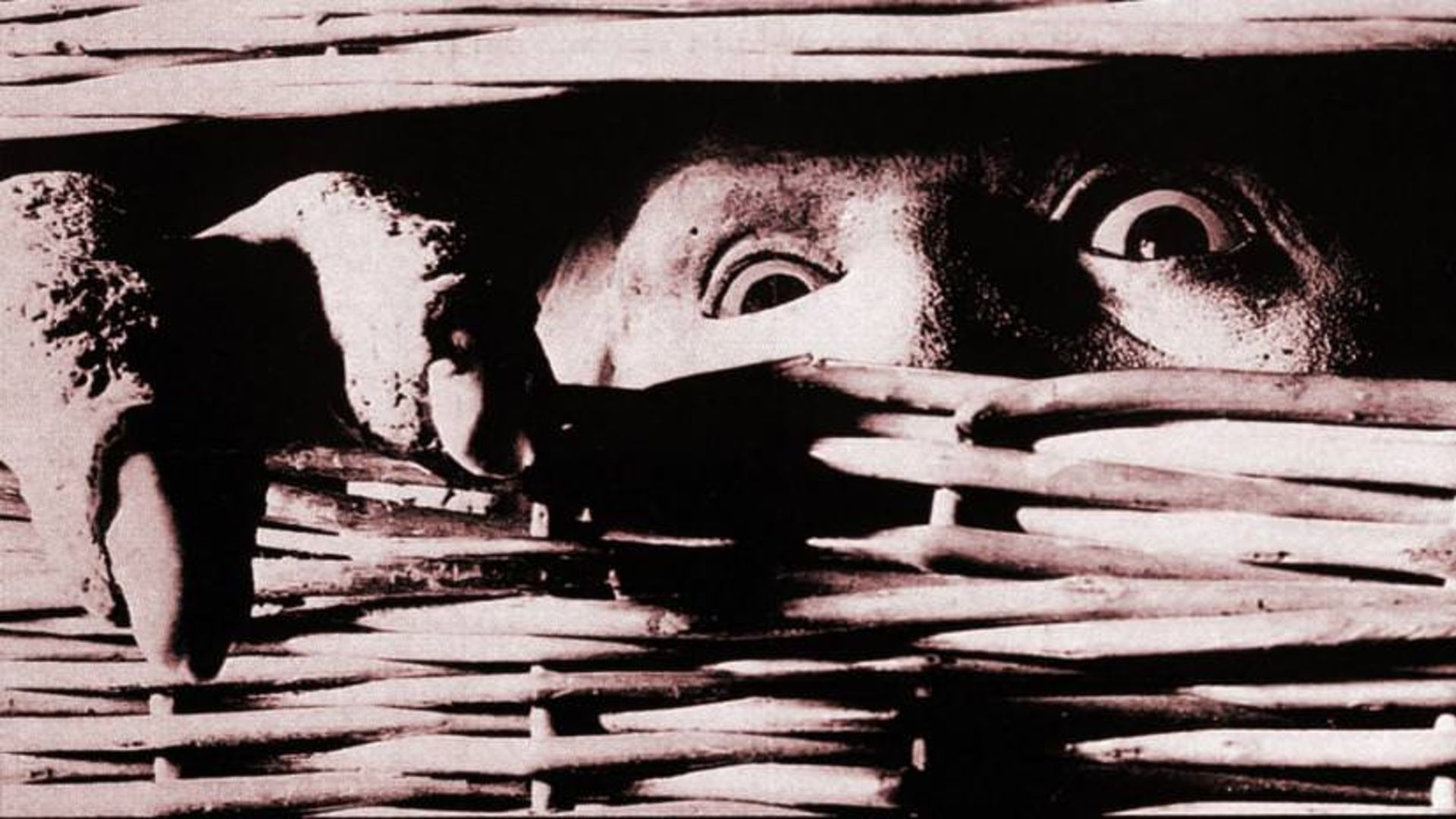 فیلم های ترسناک