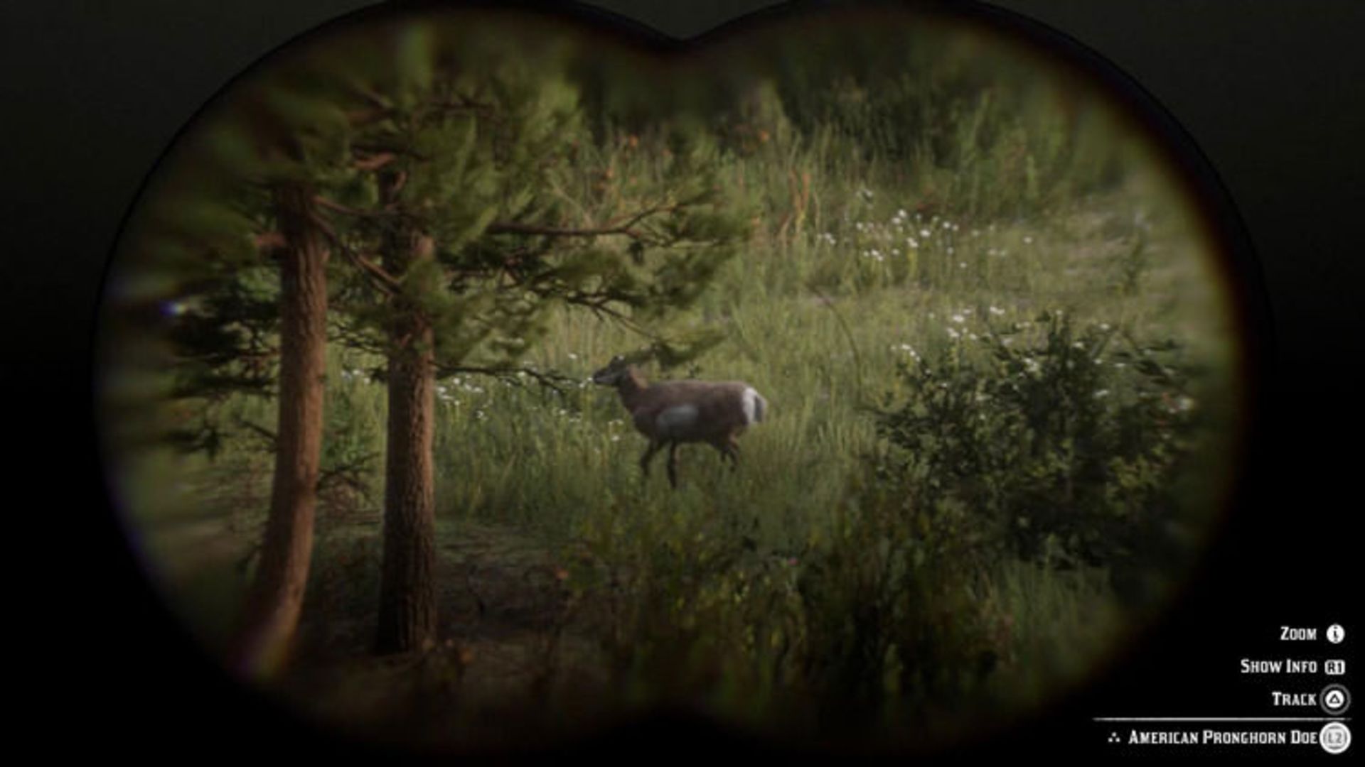 Red Dead Redemption 2
