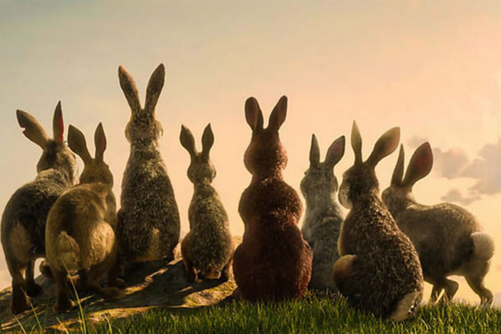 Watership Down