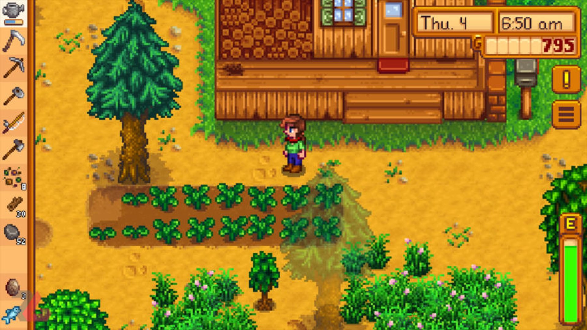 Stardew Valley