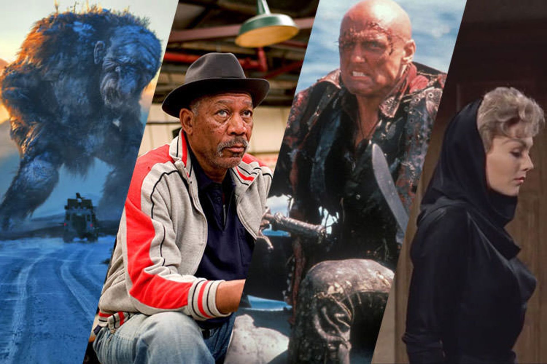 Movies to Watch