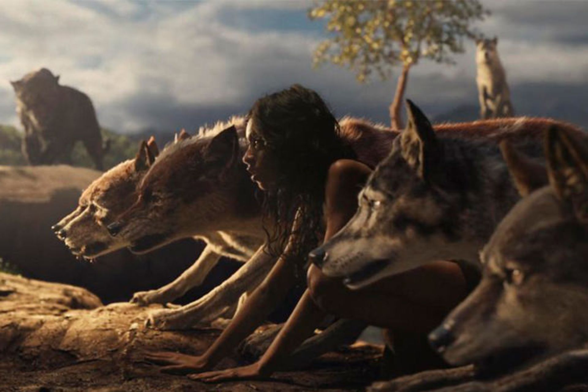 Mowgli: Legend of The Jungle