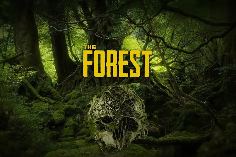 The Forest 