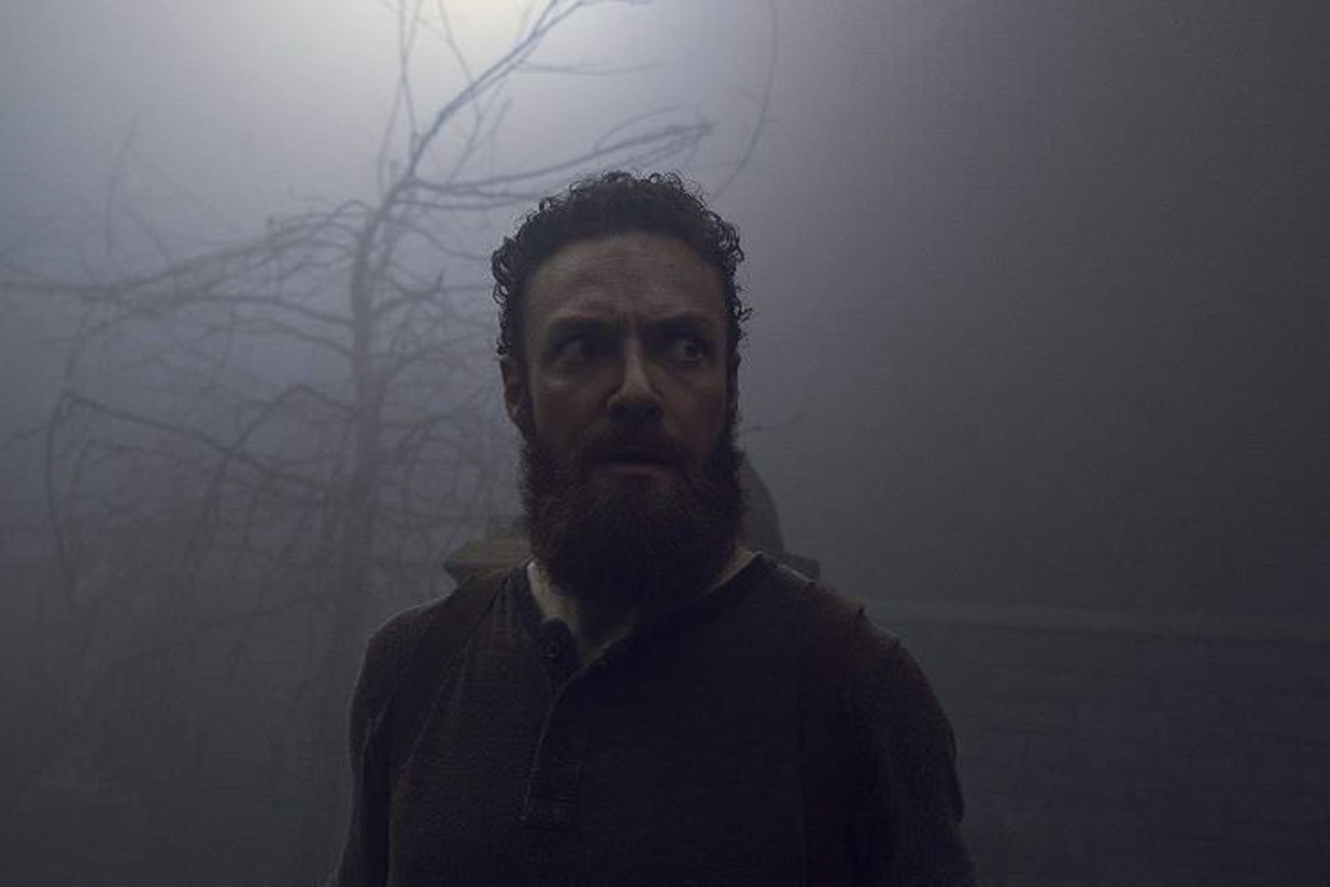 The Walking Dead