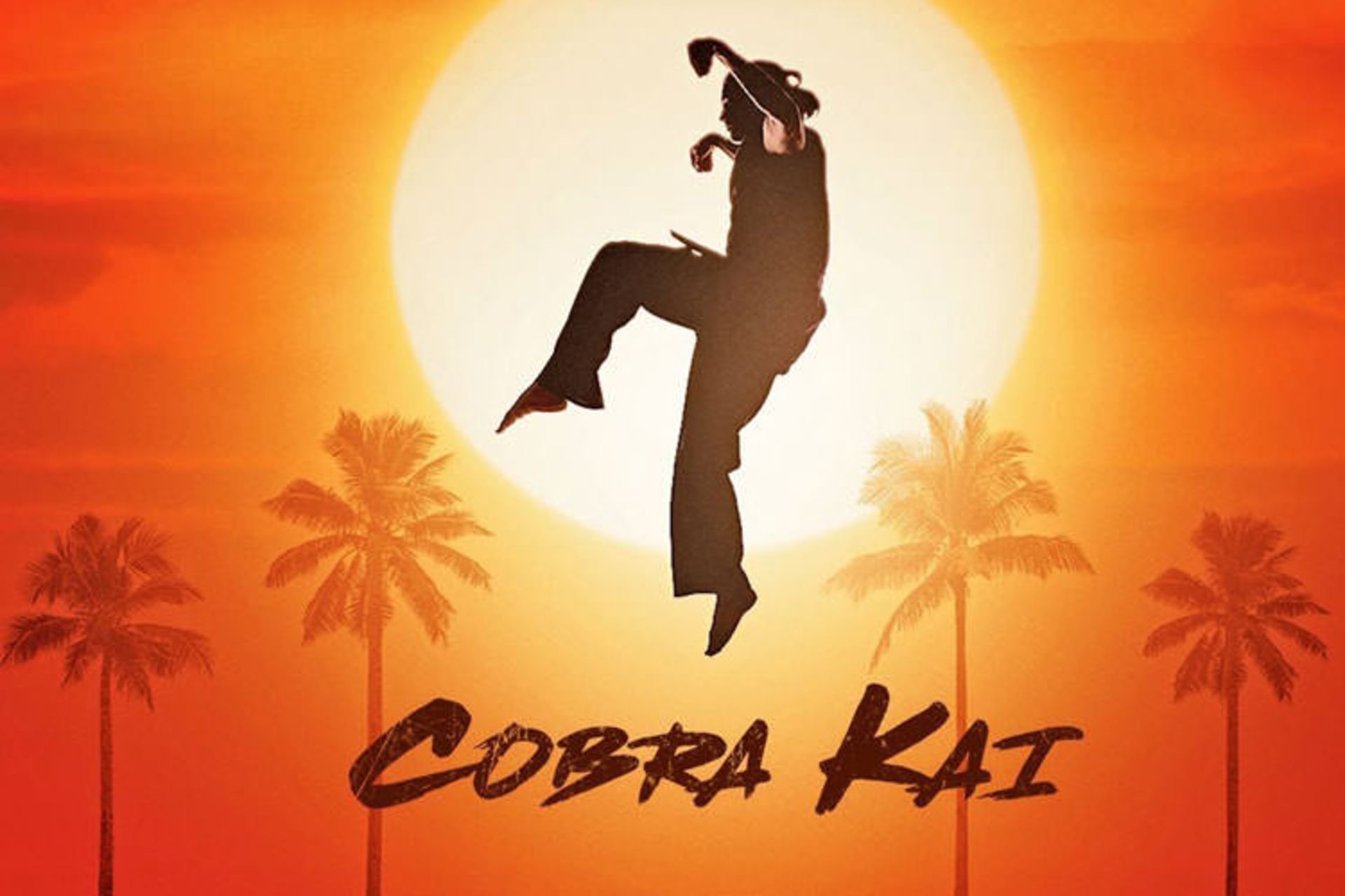 سریال Cobra Kai