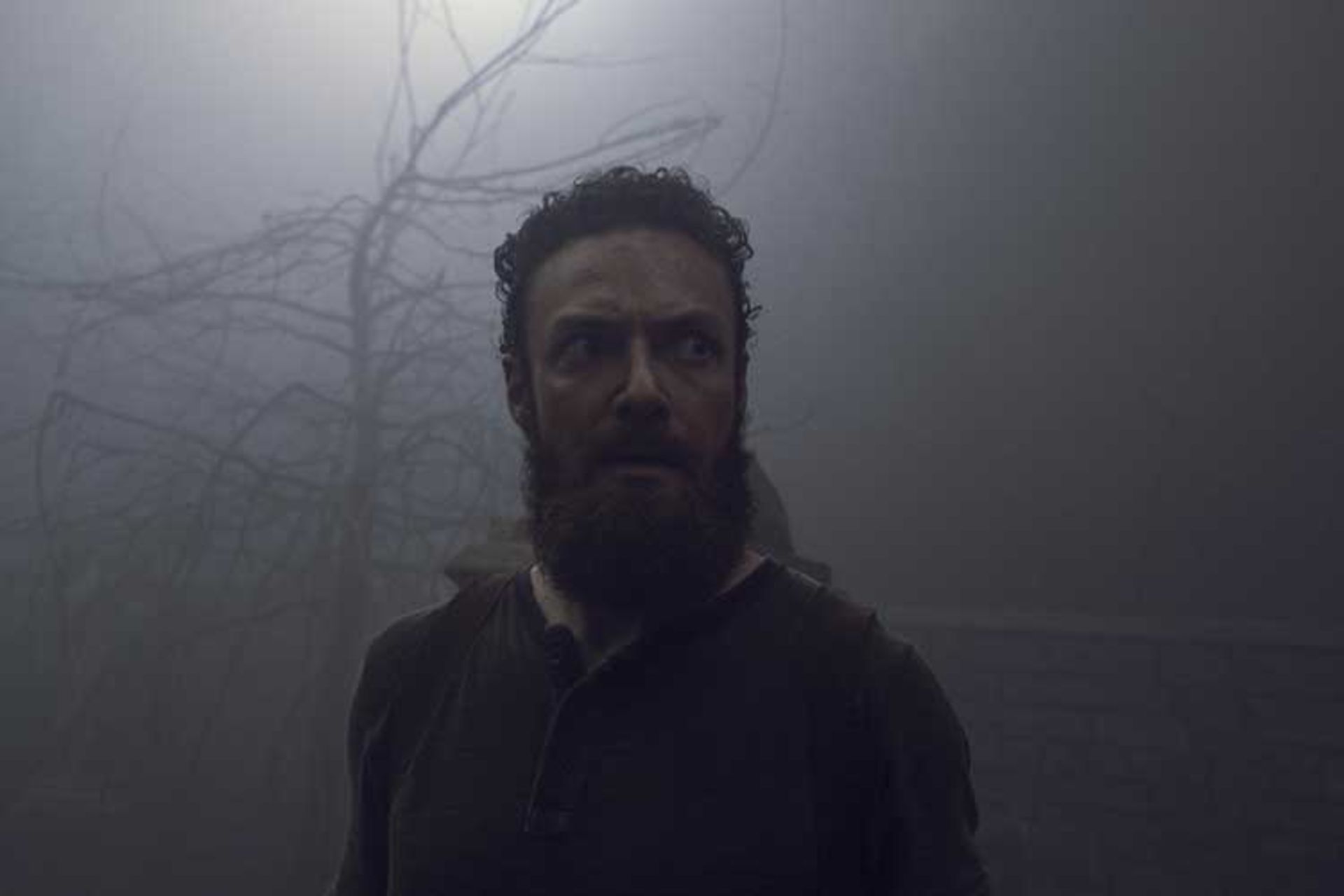 ُسریال the walking dead