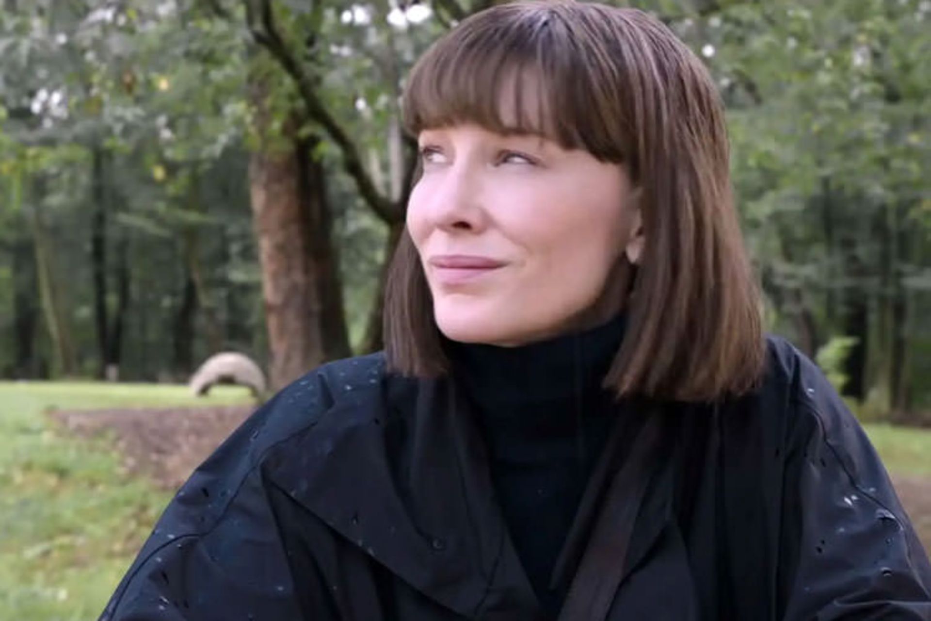 Where'd You Go, Bernadette