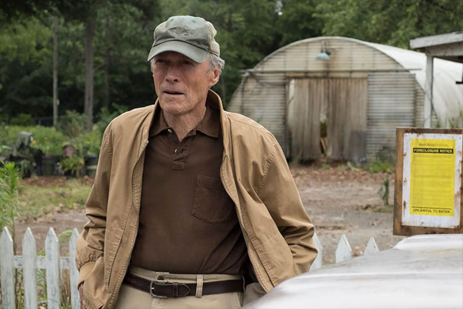 The Mule