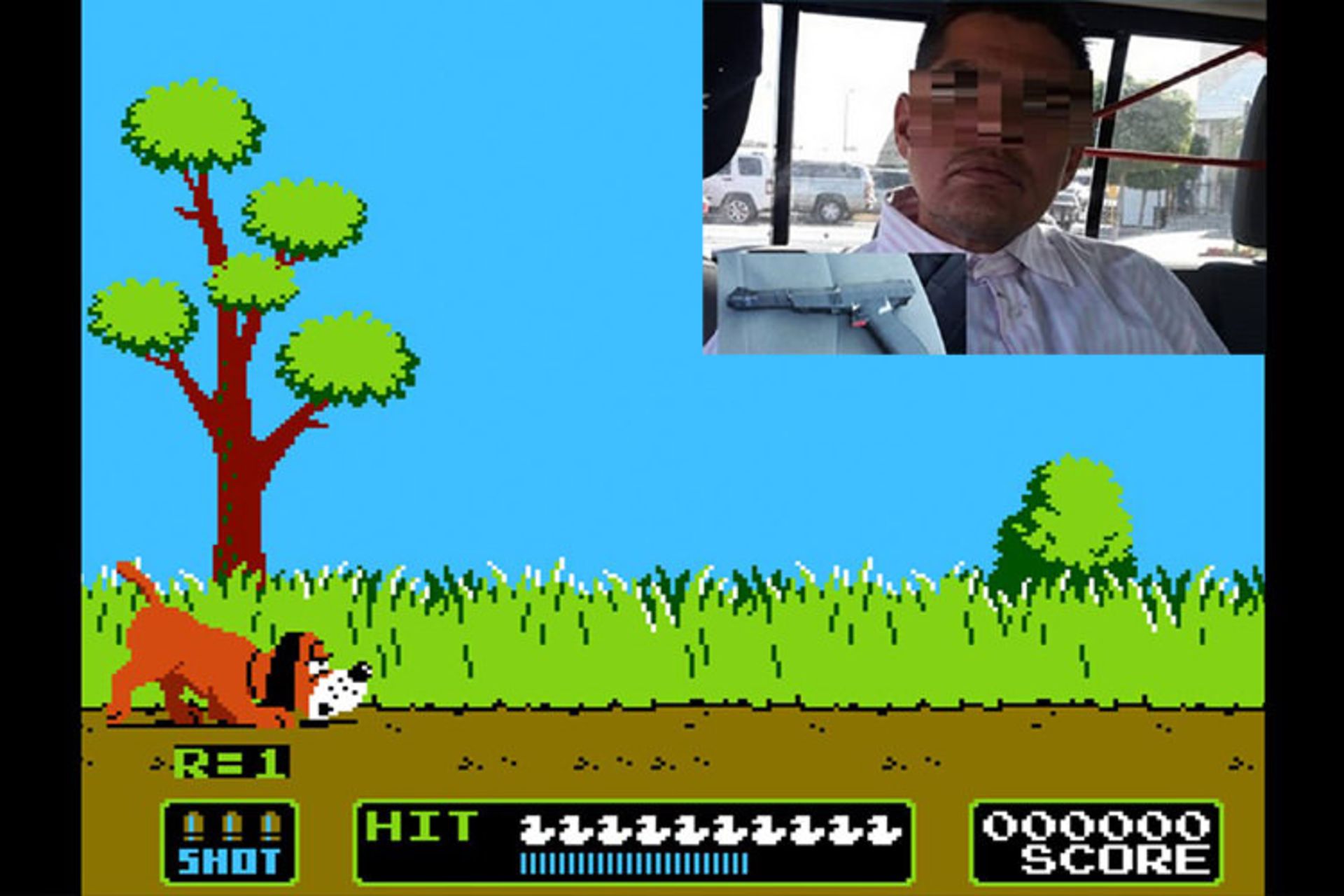 duck hunt