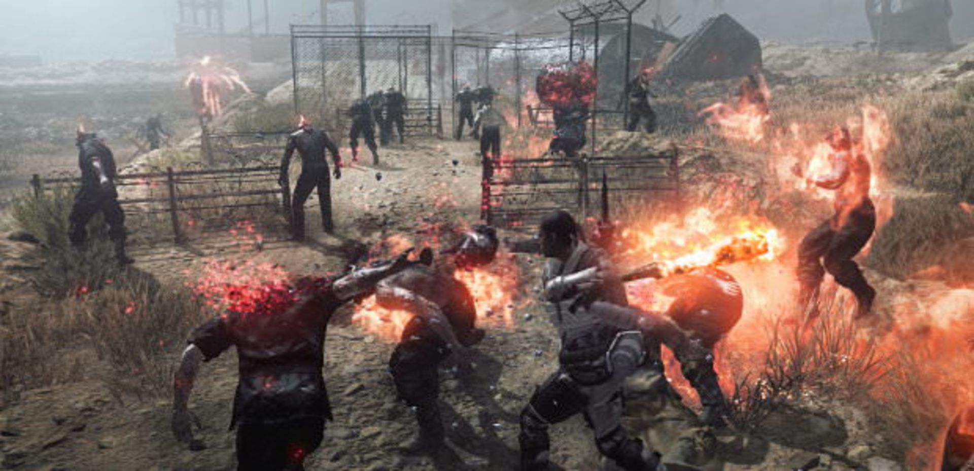MG survive