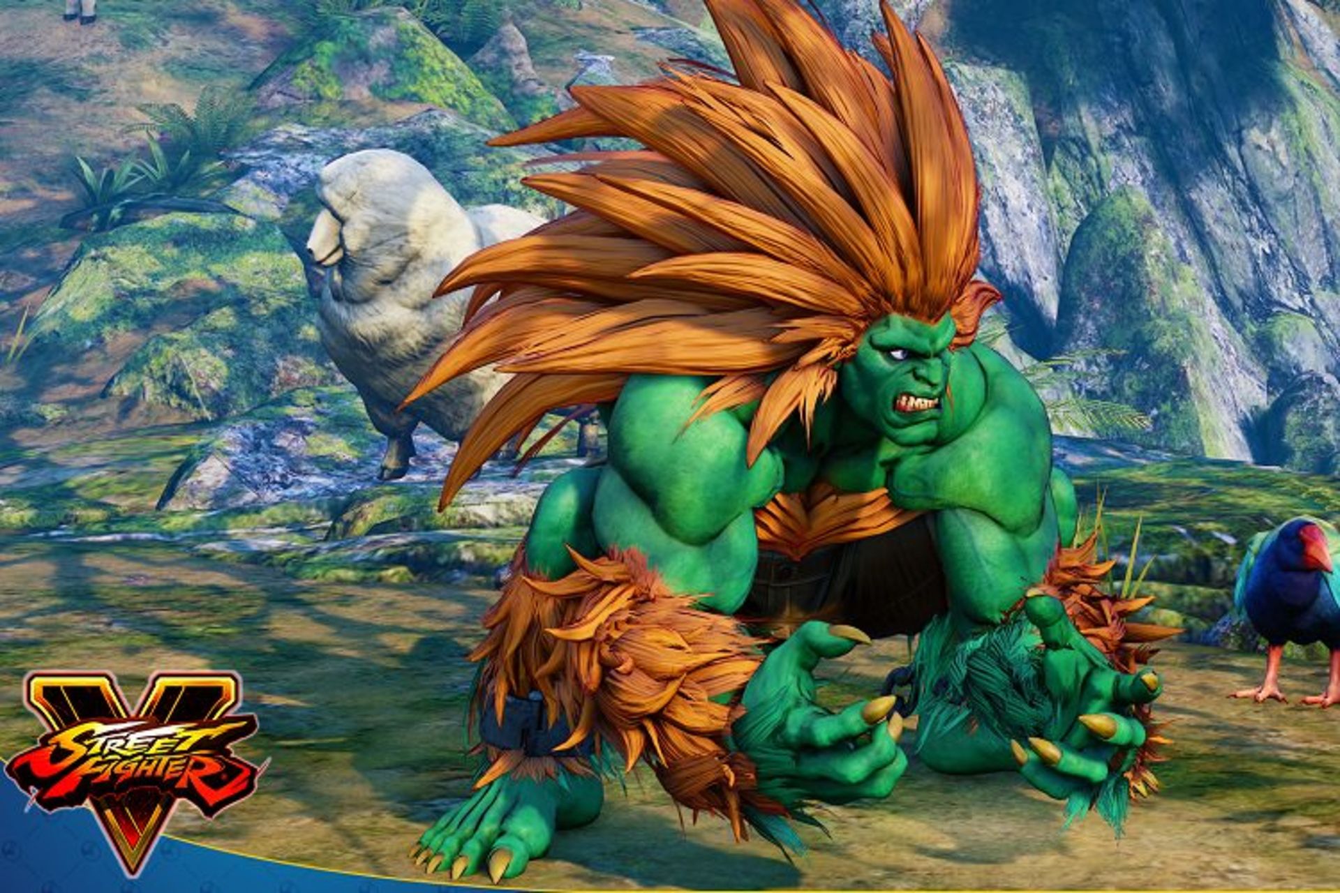 street fighter v