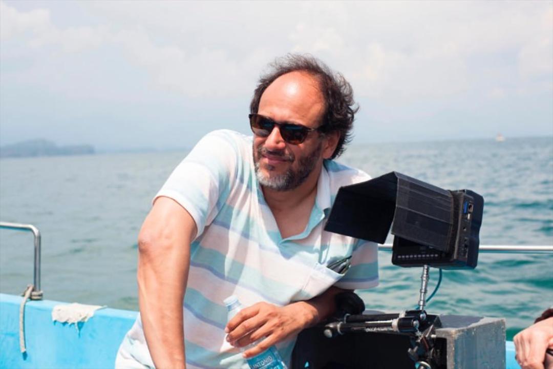 luca guadagnino