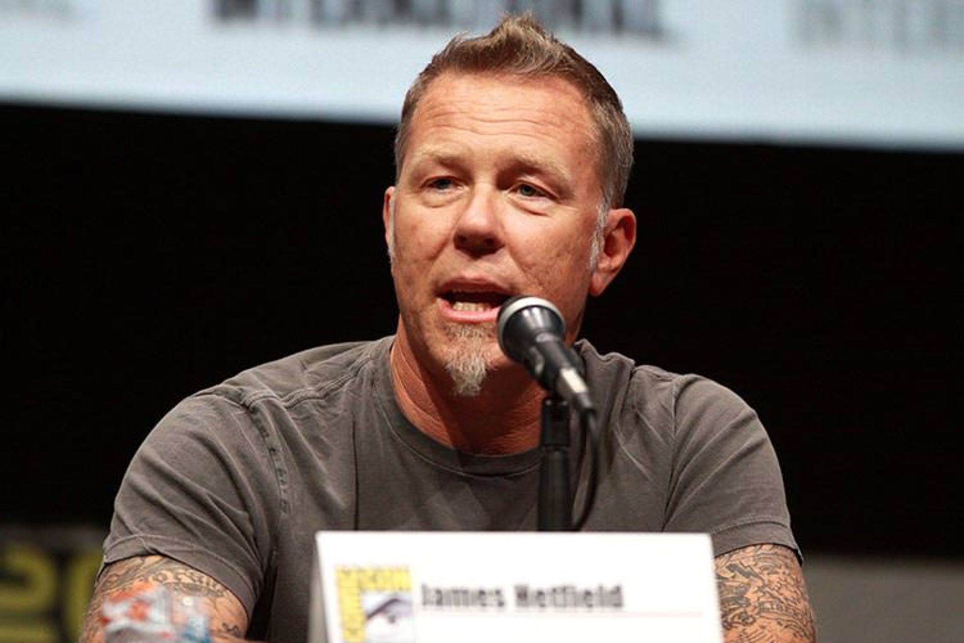 James Hetfield - Extremely Wicked, Shockingly Evil and Vile