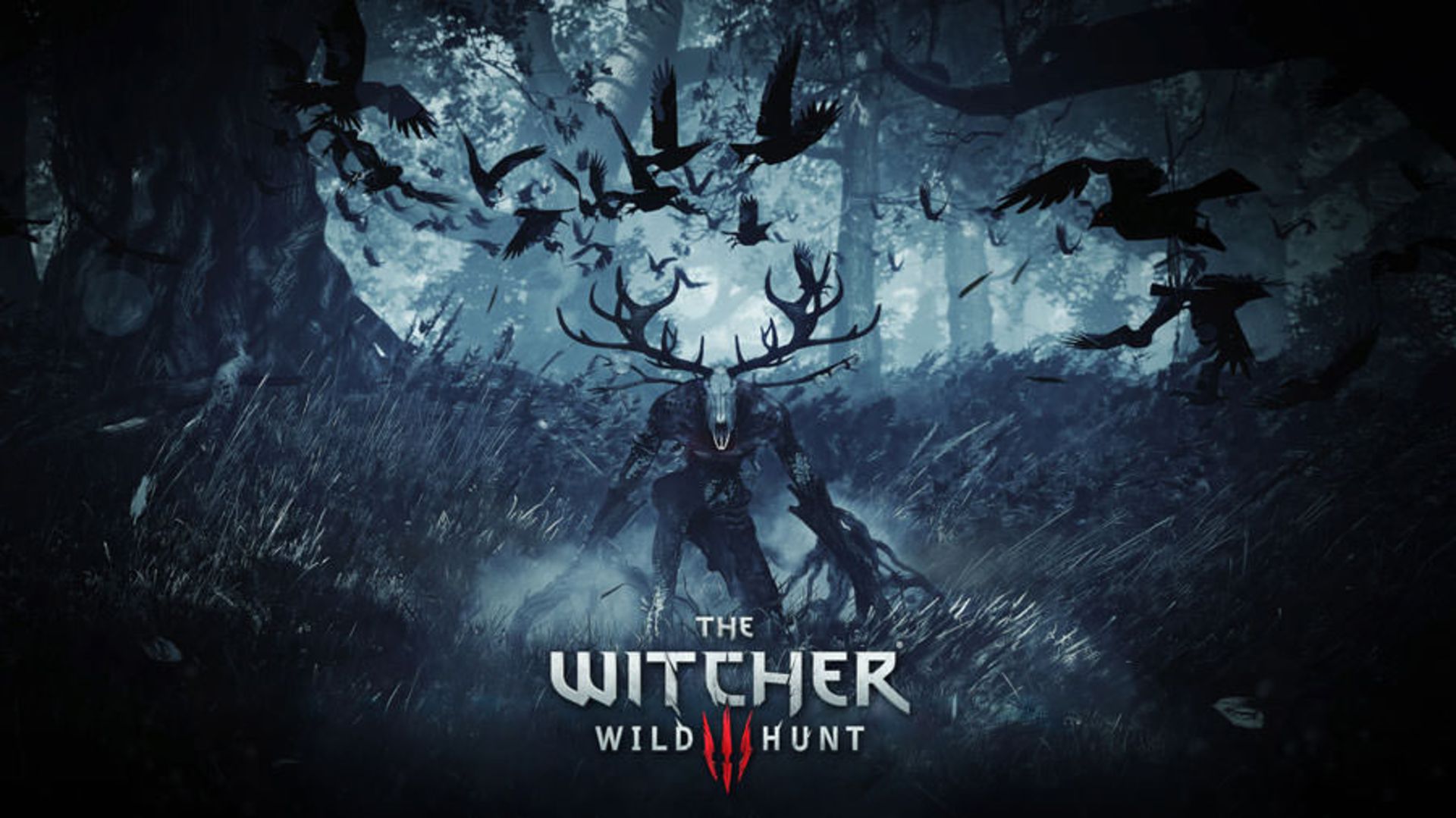 The Witcher 3: Wild Hunt