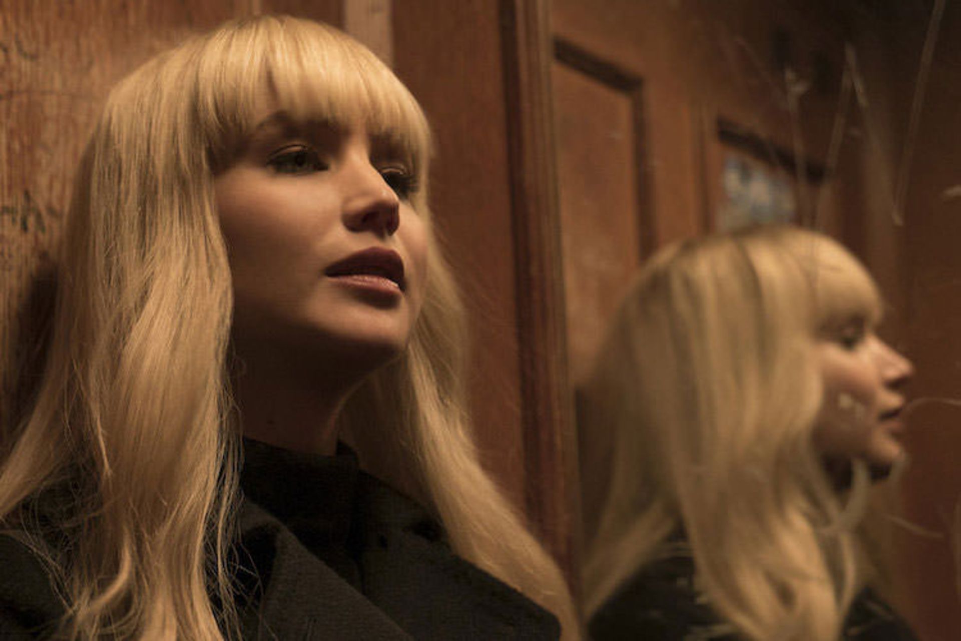 red sparrow