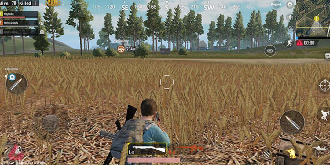 PUBG