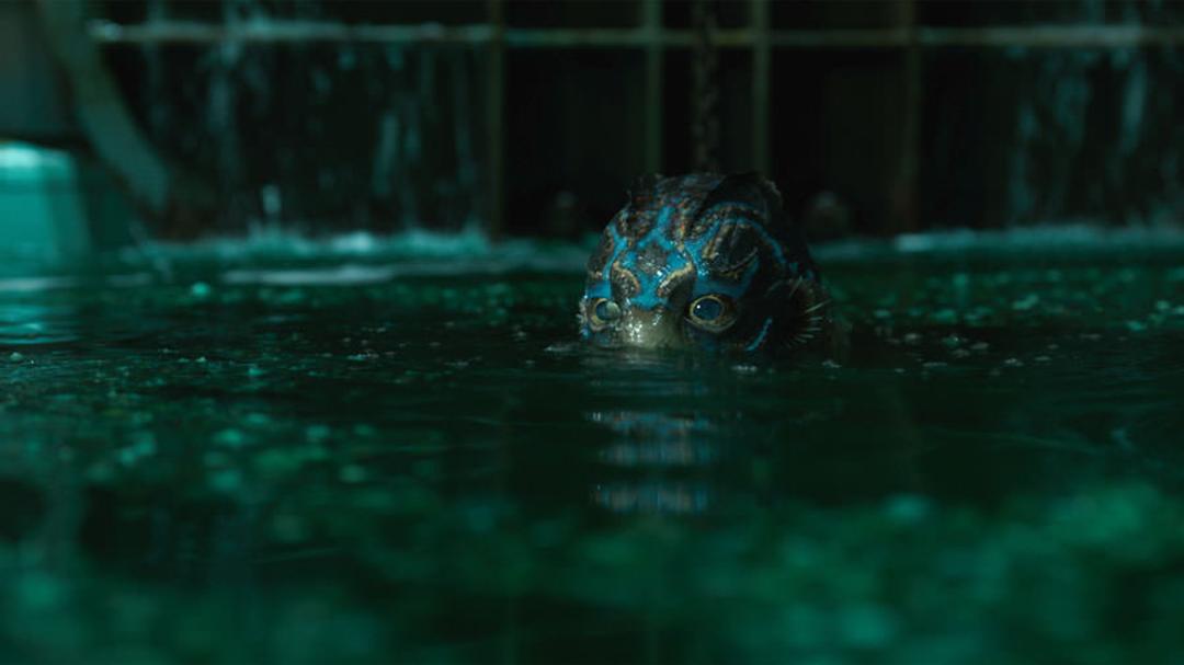 The Shape of Water