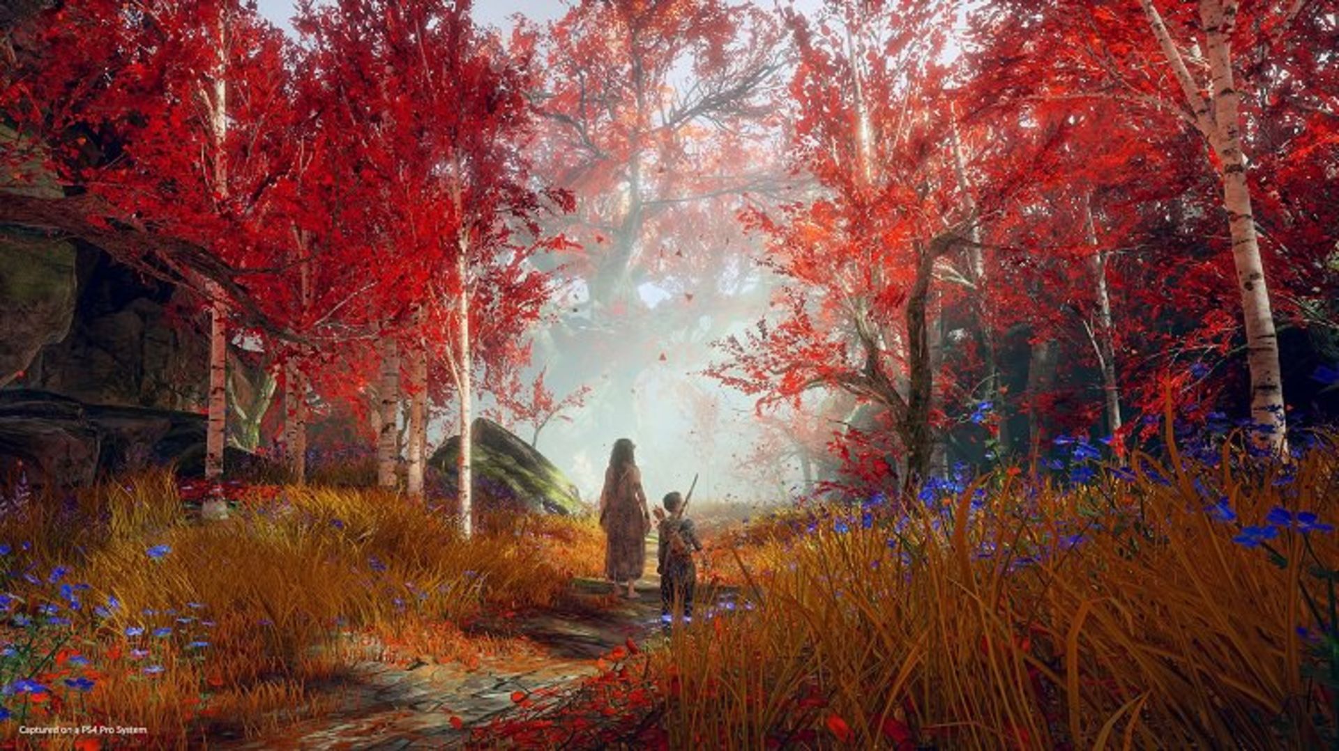God of War بازی
