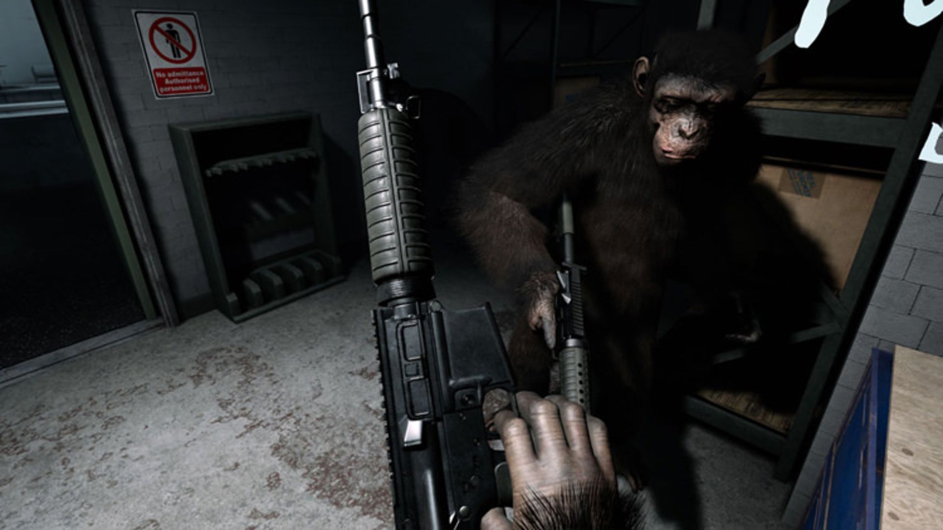 Crisis on the Planet of the Apes 