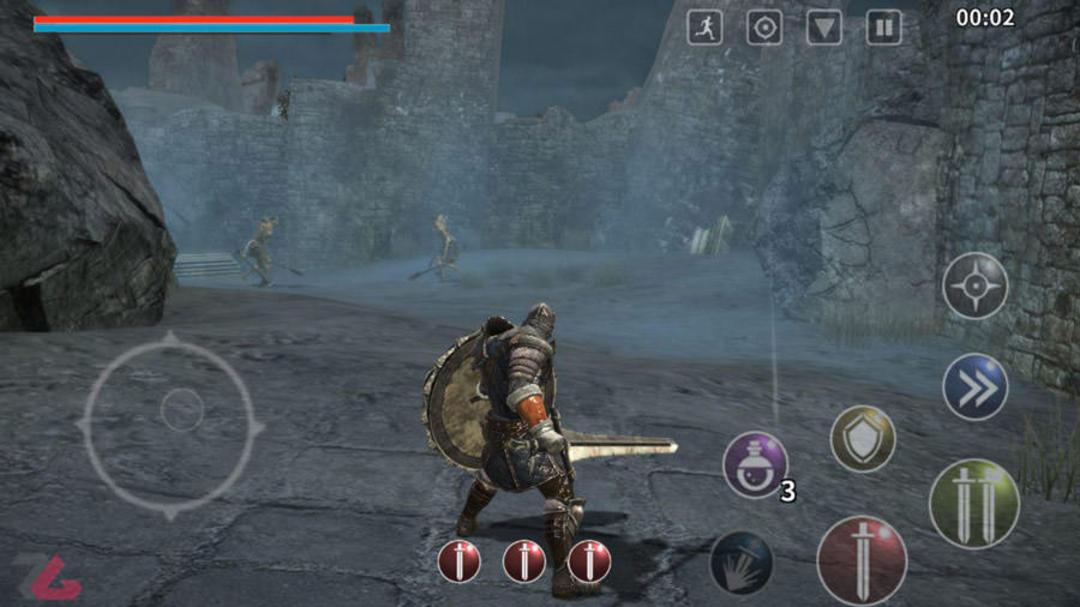 animus