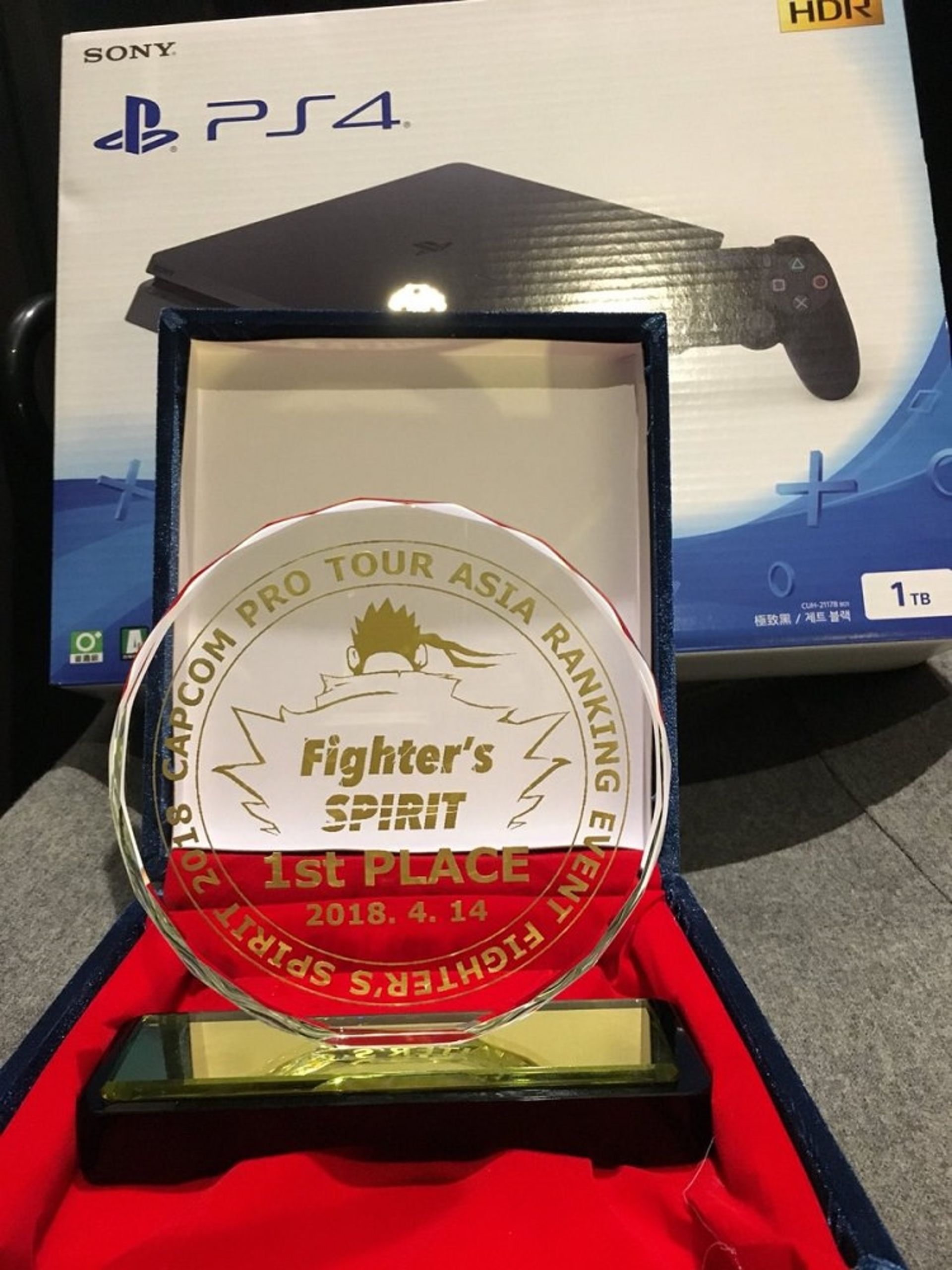 fighters spirit 2018