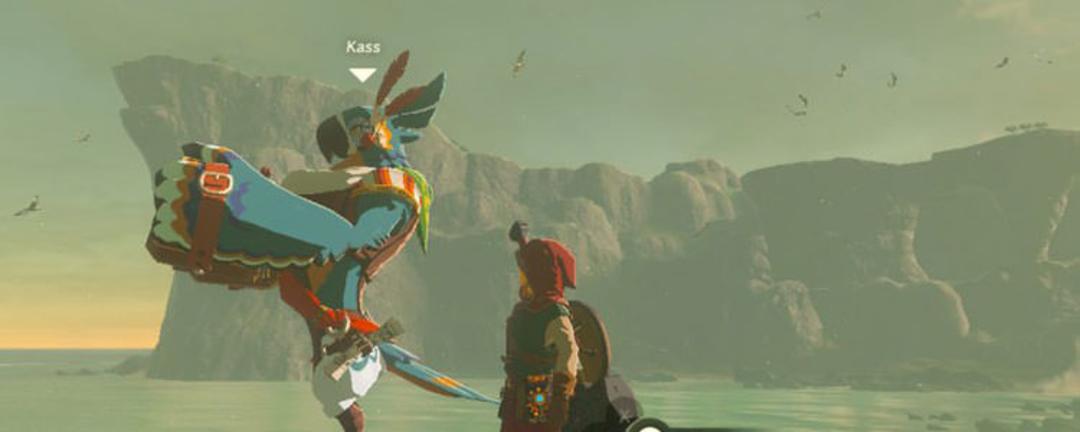 Kass