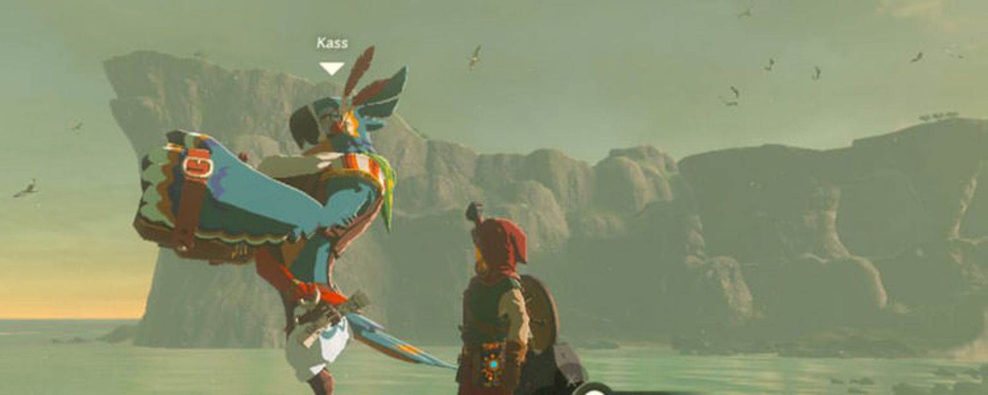Kass