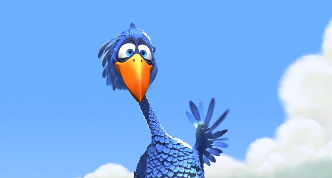 for the birds