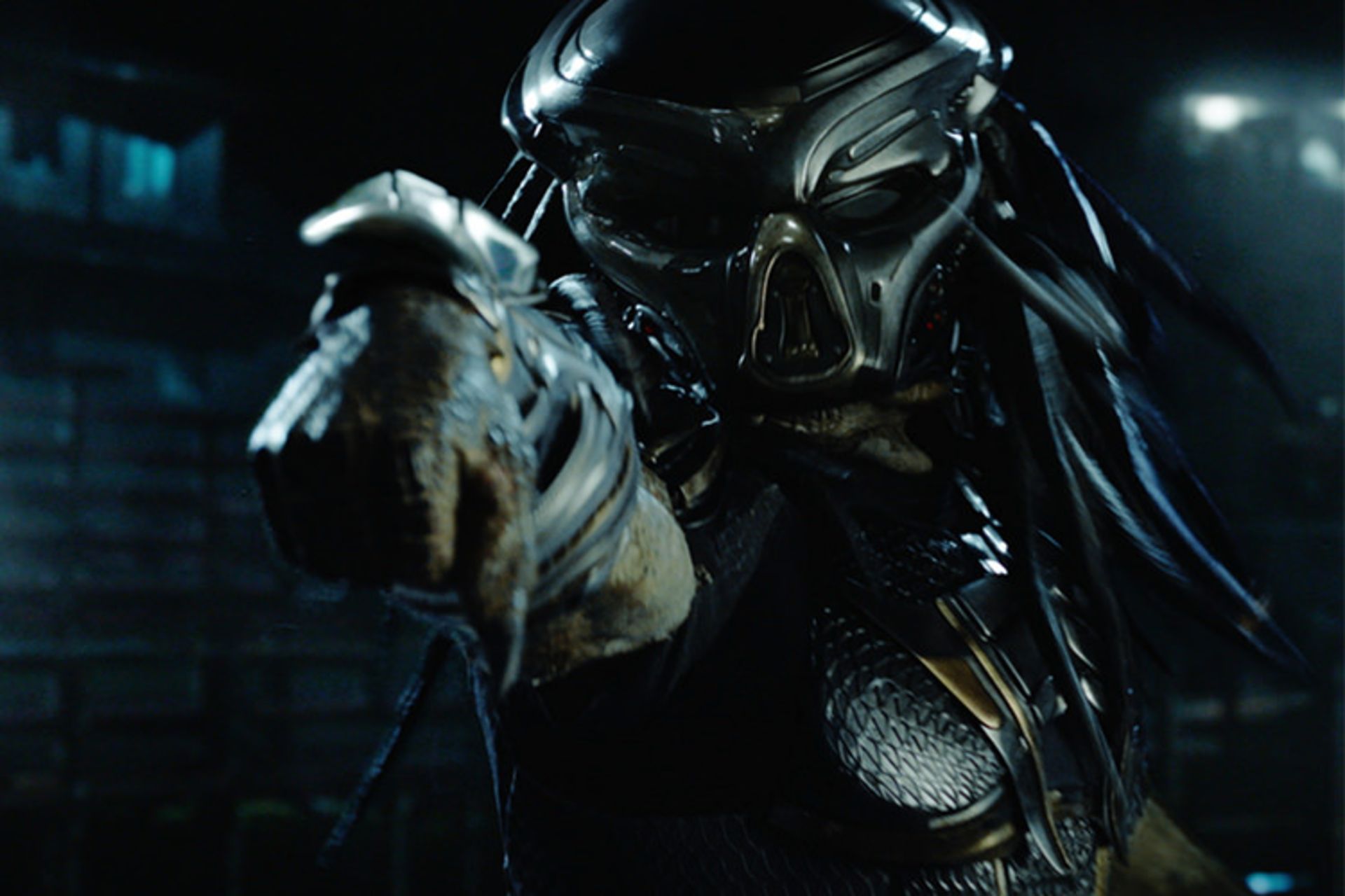The Predator