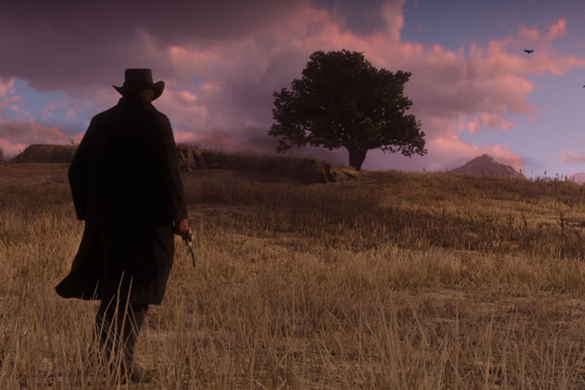 Red Dead Redemption 2