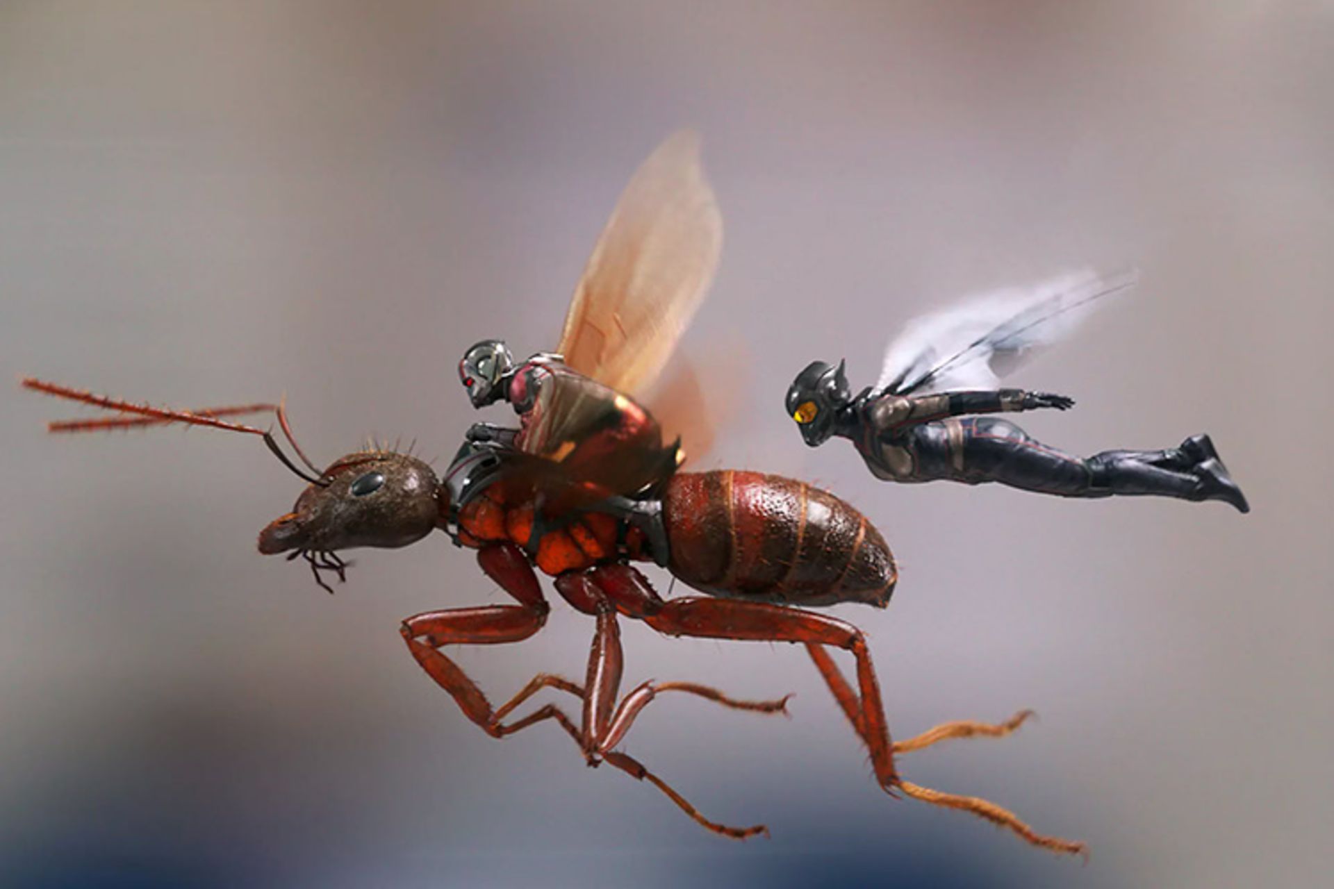 Ant-Man and The Wasp