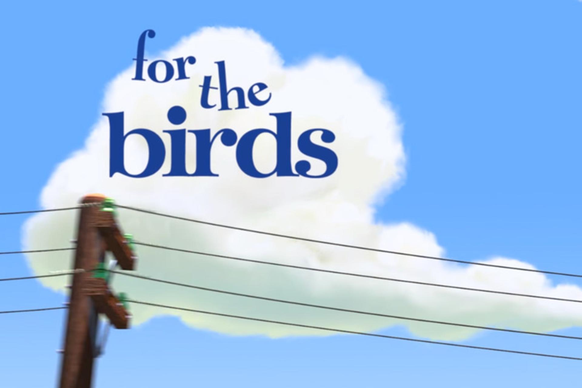 for the birds
