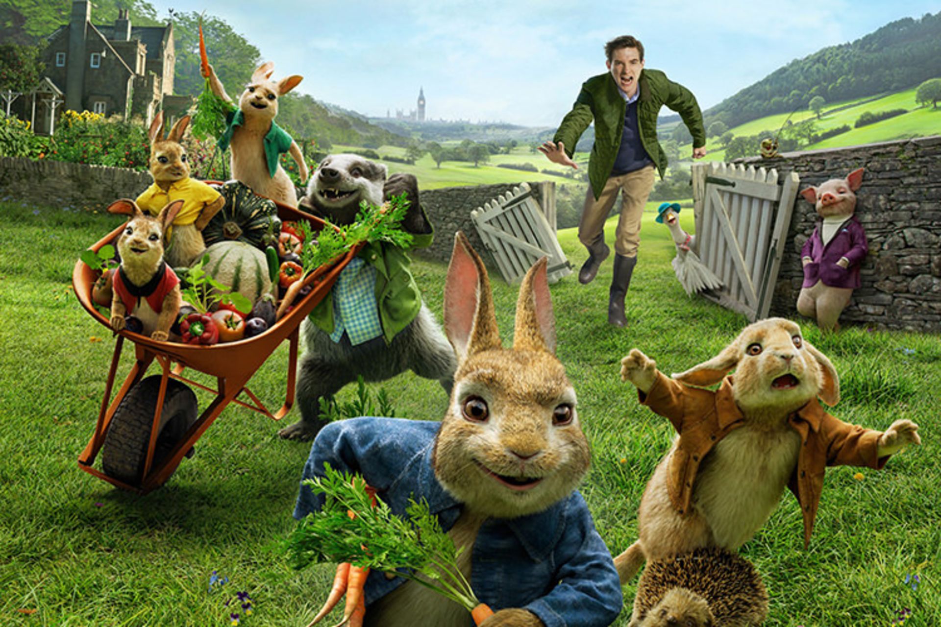 Peter Rabbit