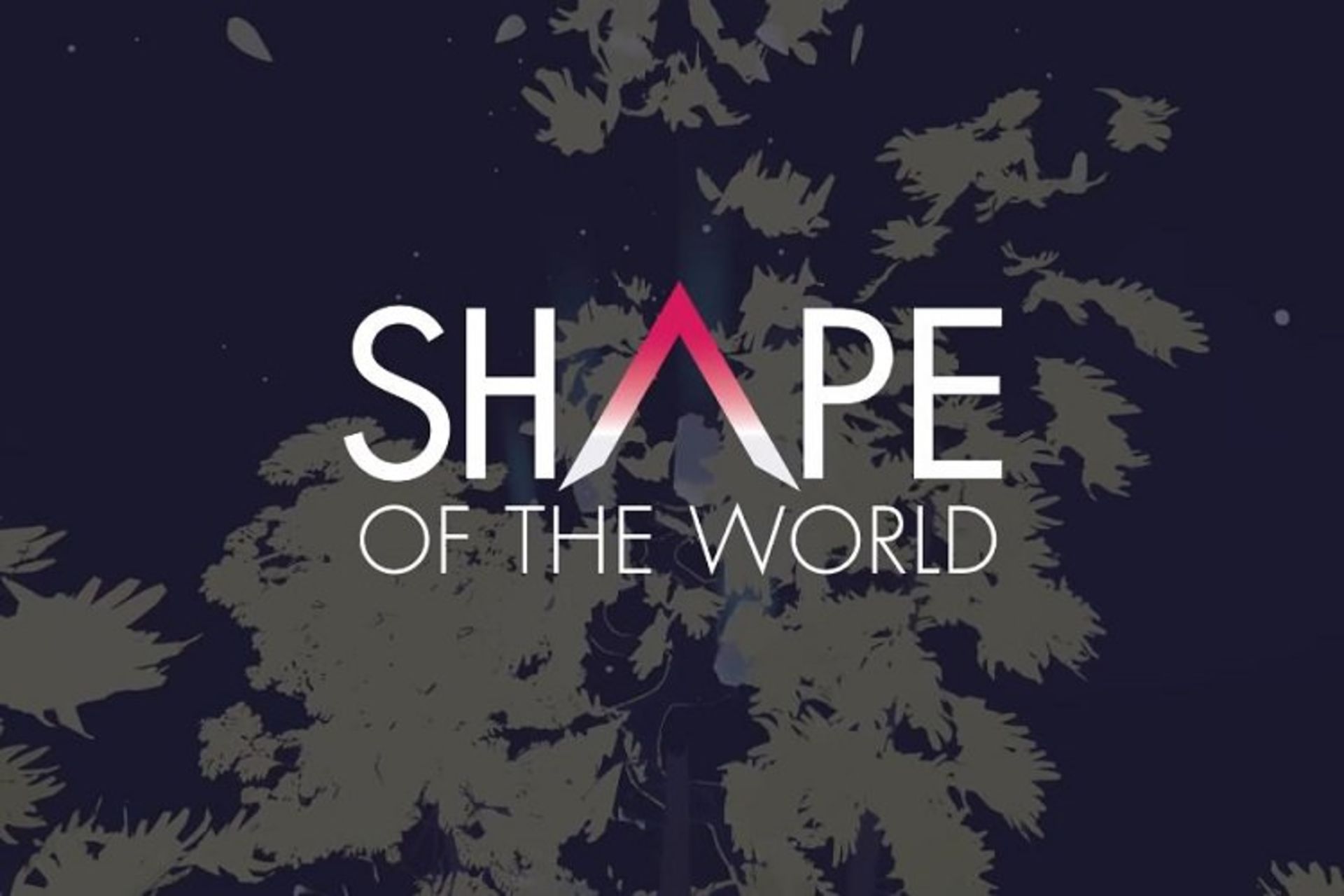 shape of the world