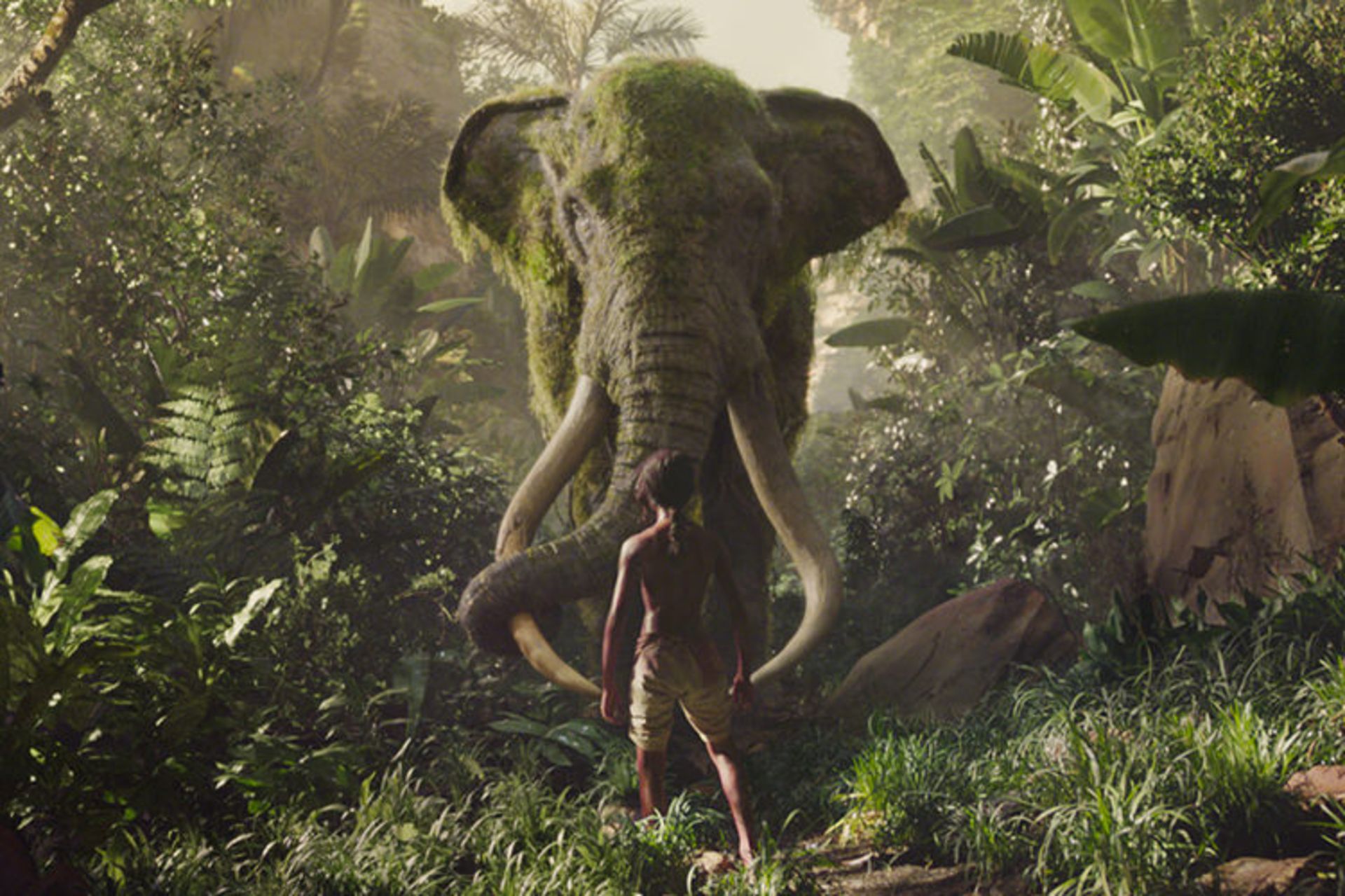 Mowgli