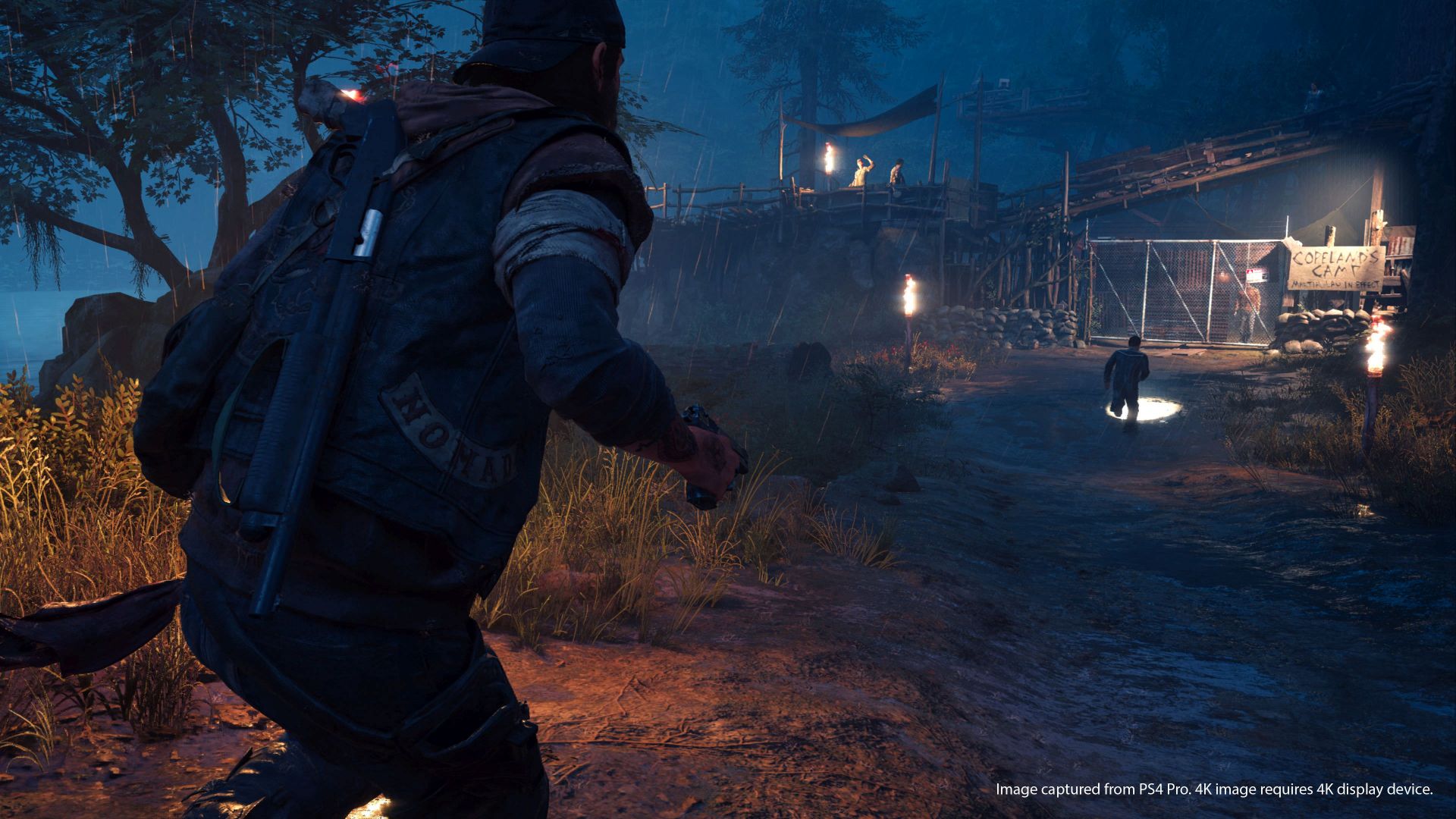 Days Gone 