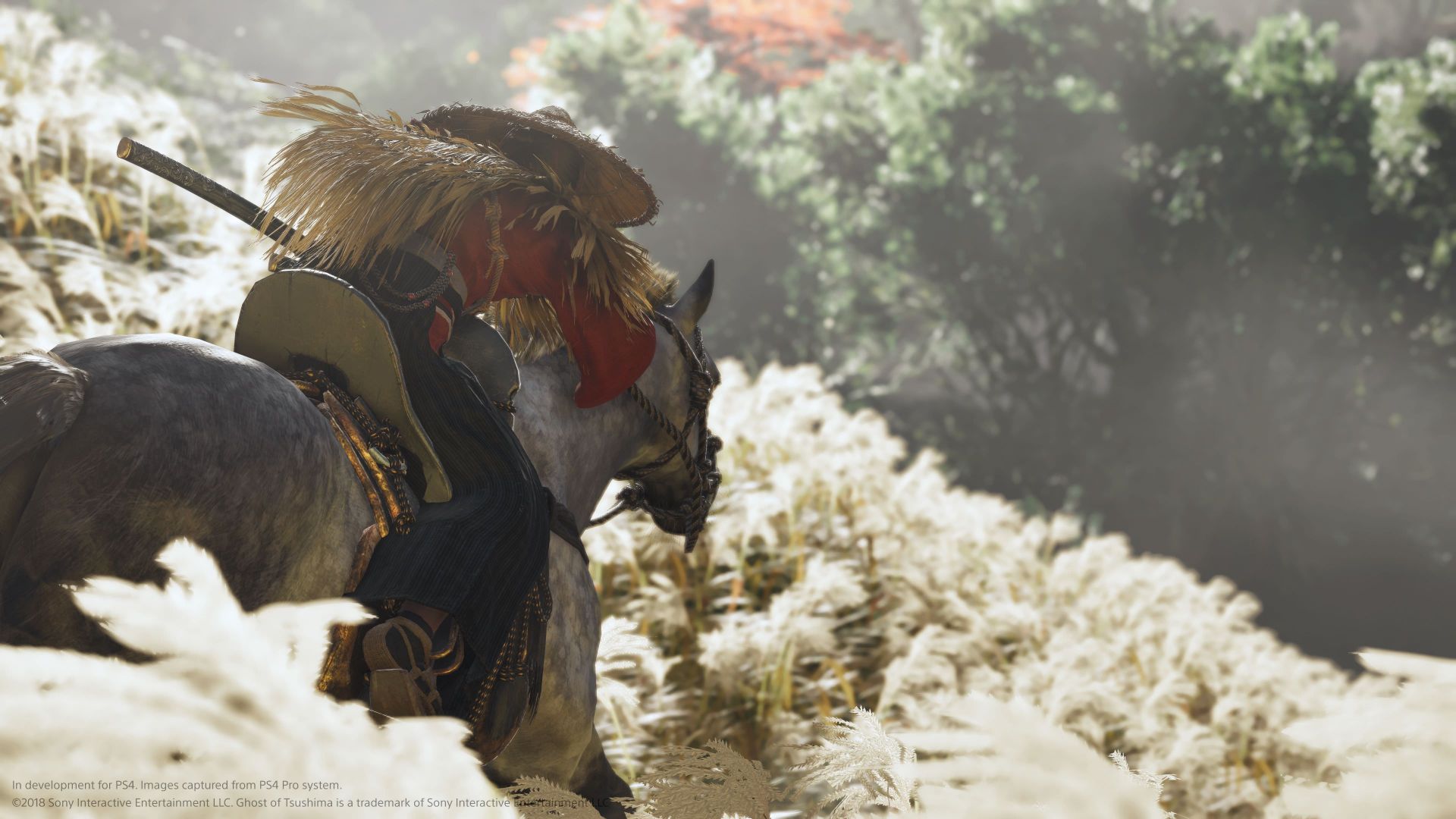 اسب سواری در دشت گل های سفید در بازی Ghost of Tsushima