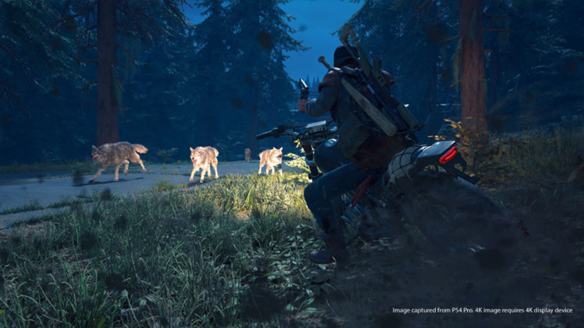 Days Gone 