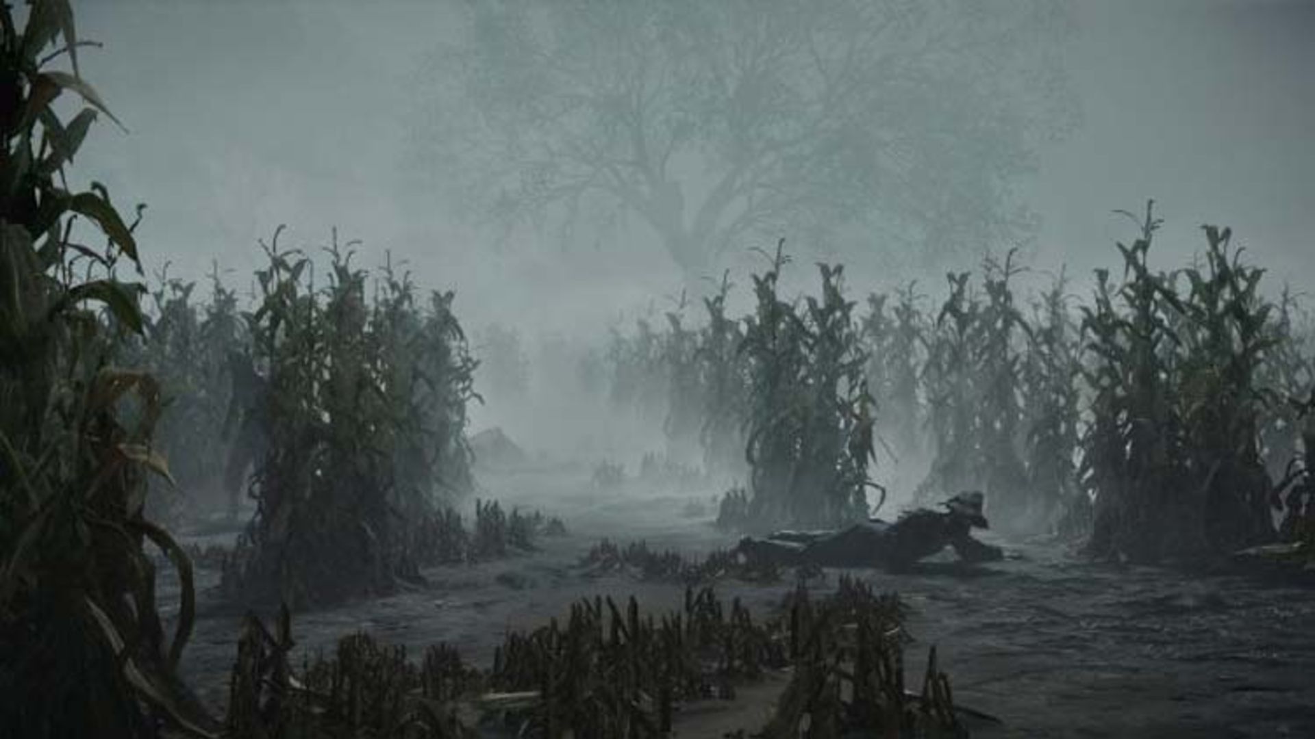 hunt: showdown