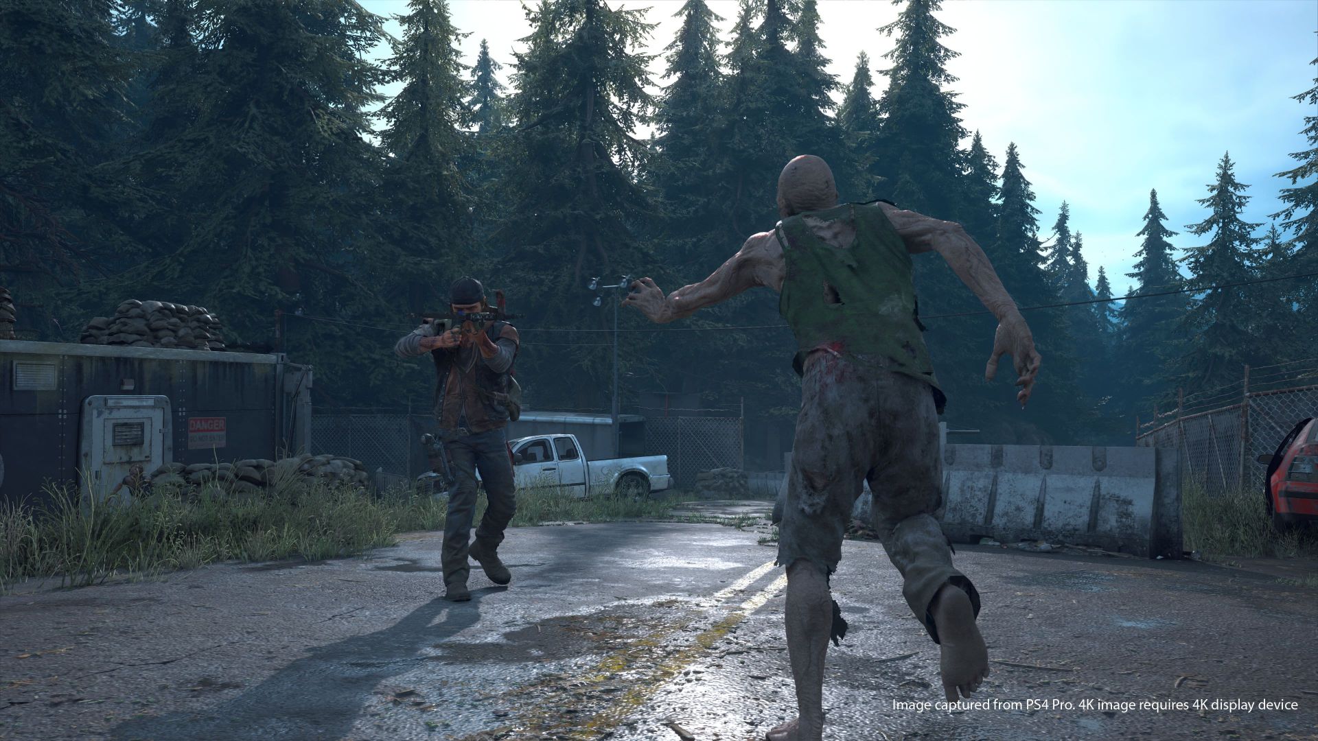 Days Gone 