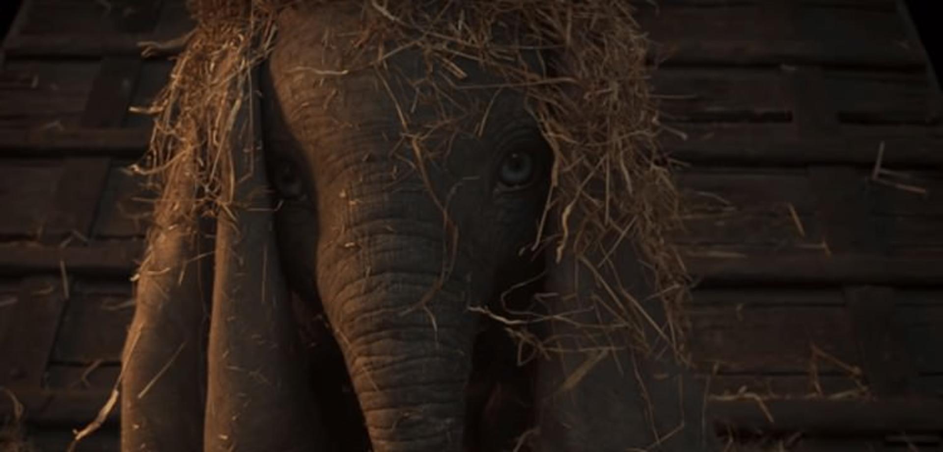 Dumbo