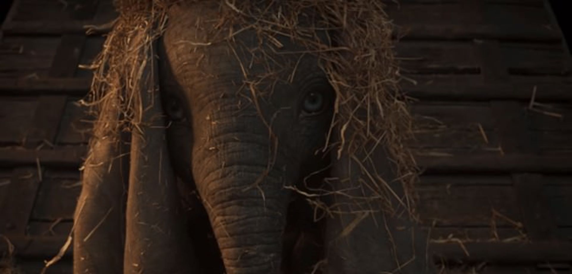 Dumbo