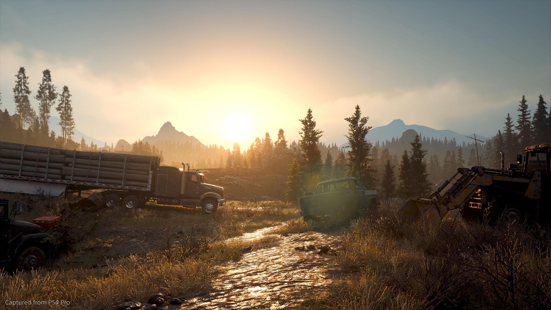 Days Gone 