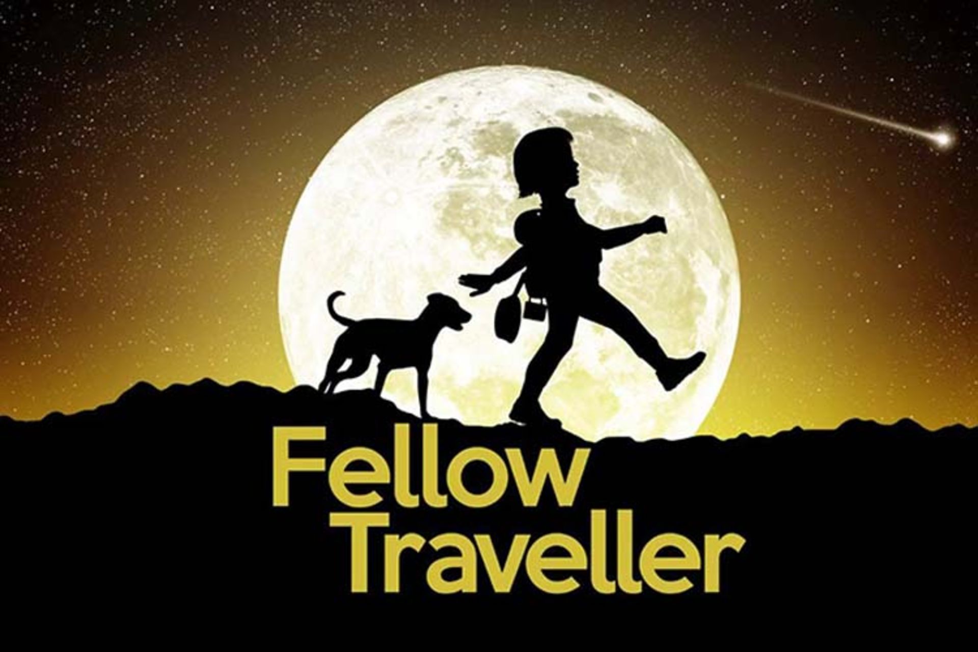fellow traveller