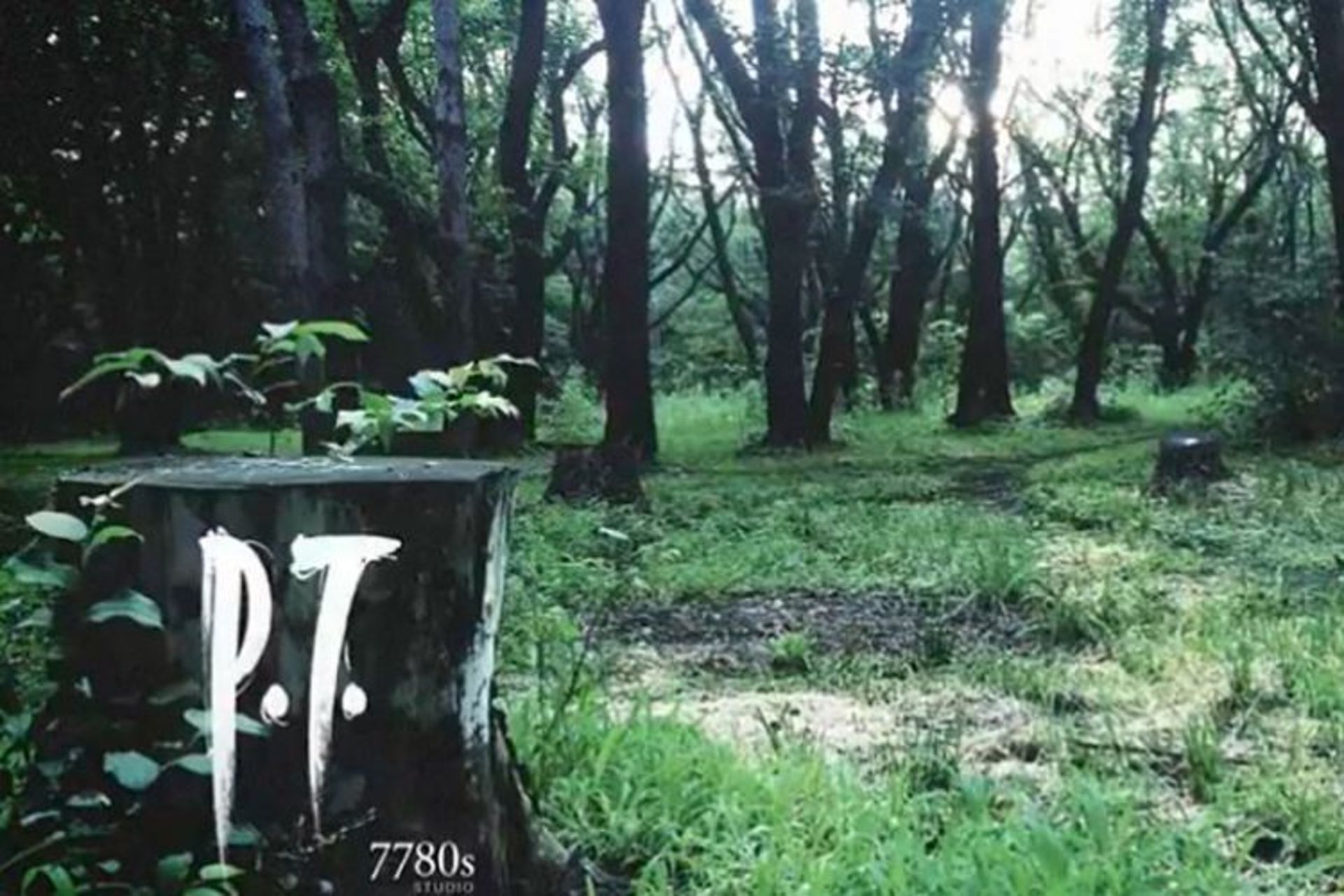 pt
